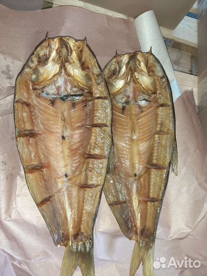 Рыба балык с Астрахани от производителя