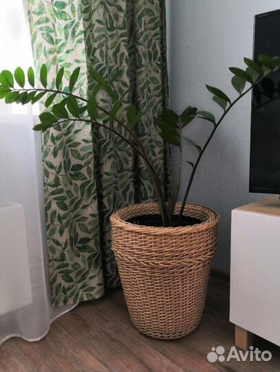 Кашпо горшок для цветов