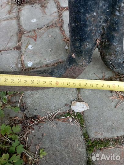 Якорь- кошка