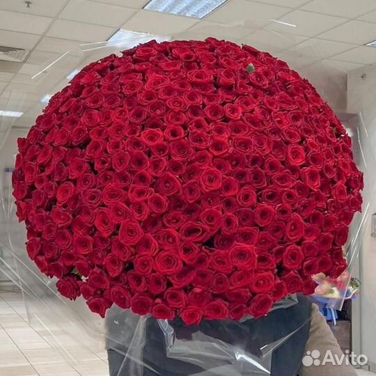 Букеты из 301 роз, 201 роз /Цветы /Доставка