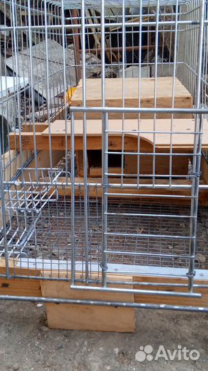 Клетка для кролика