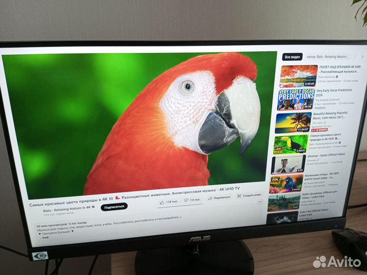 Монитор asus VP229HE 21.5