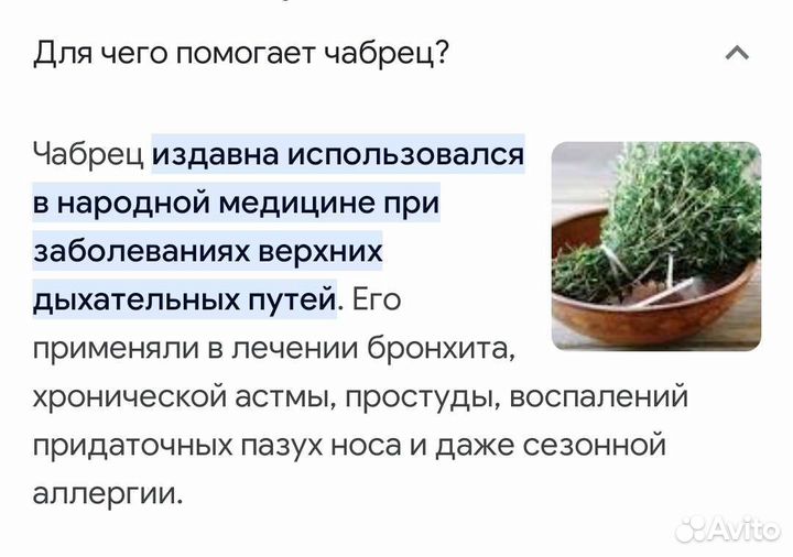 Рассада чабрец, тимьян