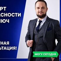 Паспорт безопасности: разработка и согласование, Слободзея