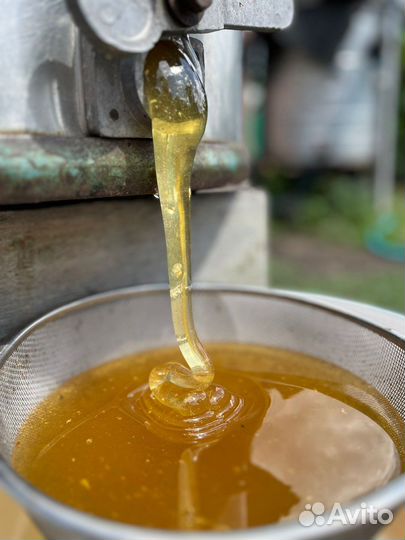 Мёд Акациевый