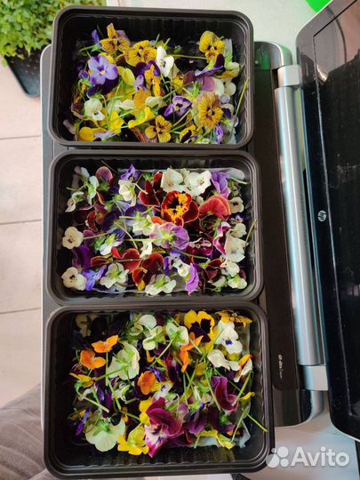 Помогу открыть свой бизнес сити ферму