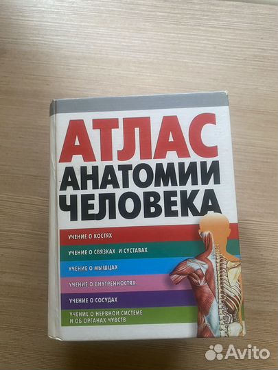 Атлас по анатомии