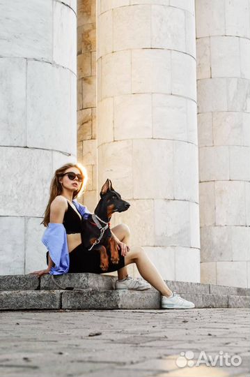 Фотосессия с доберманом