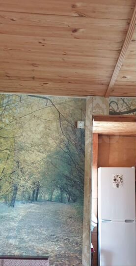 Дом 53,5 м² на участке 10 сот.