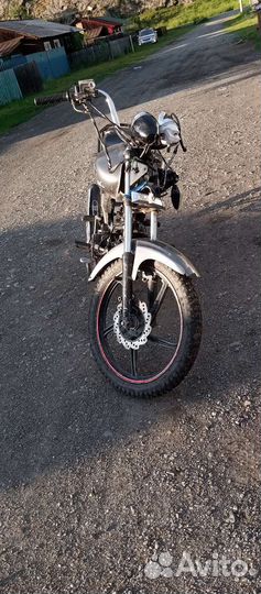 Альфа ирбис