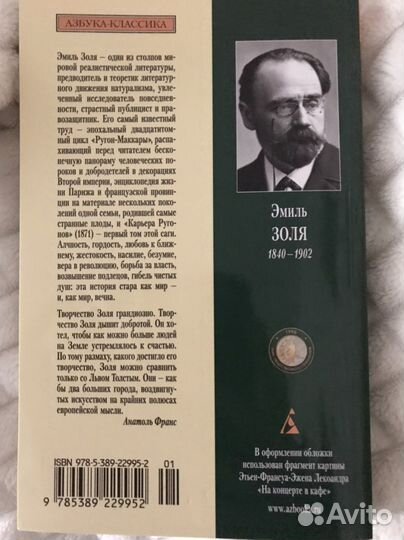 Эмиль Золя / Карьера Ругонов