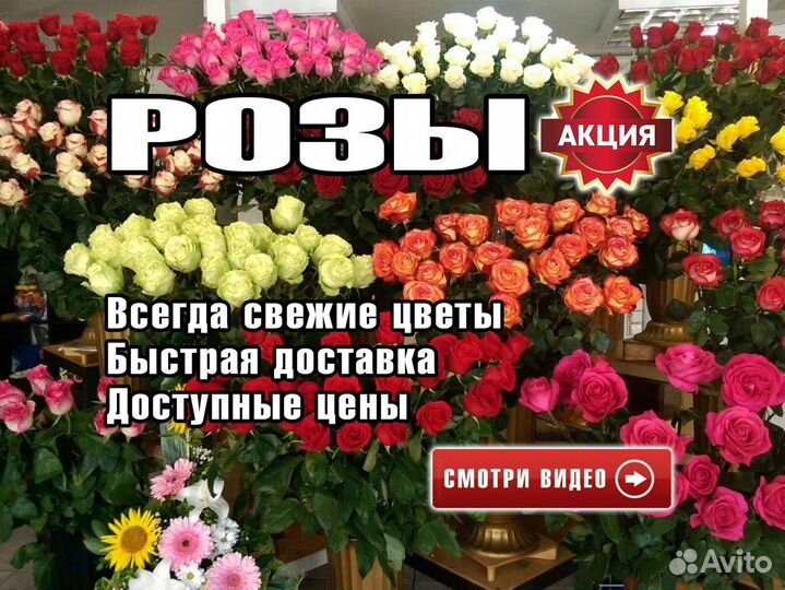 Букет роз 101 роза с доставкой