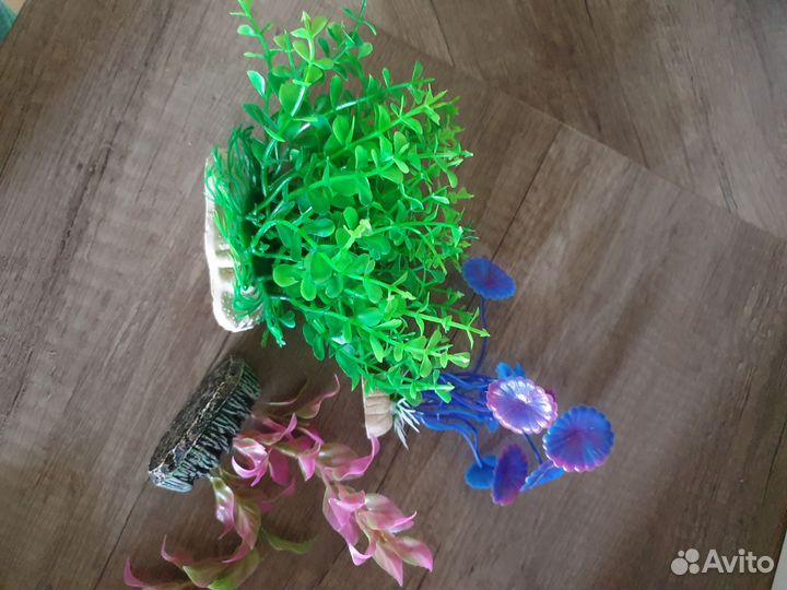 Водоросли искусственные