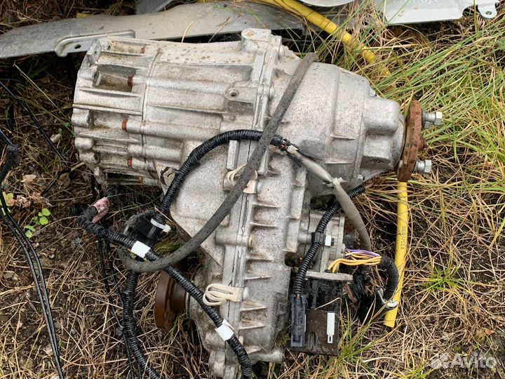 Раздатка санг янг