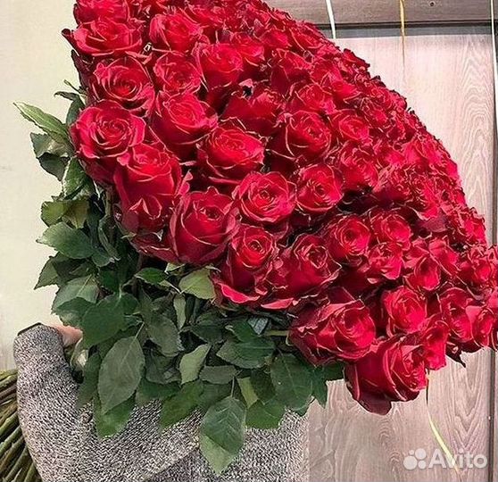 Высокие розы