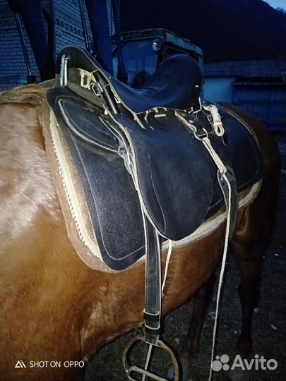 Седло драгунское