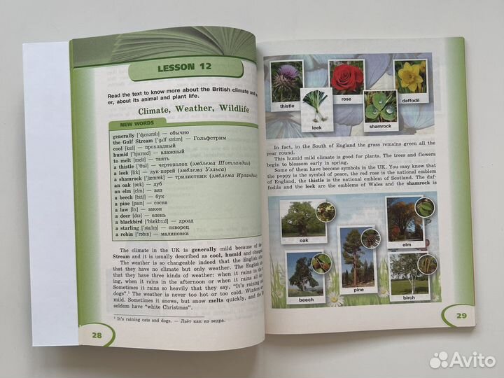 Новая English Reader Английский язык 5 для чтения
