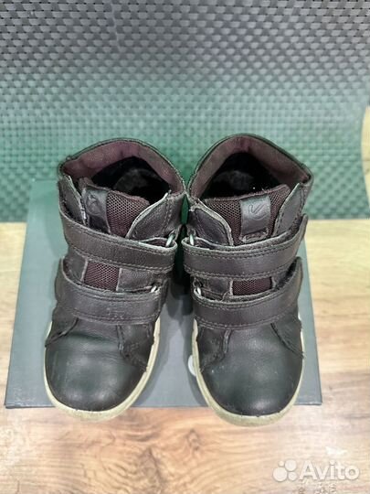 Ботинки демисезонные ecco