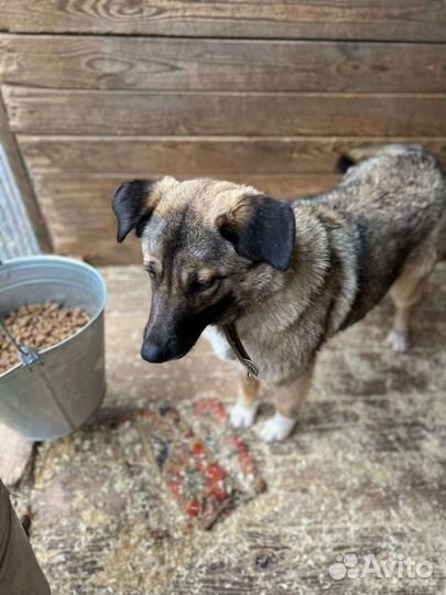 Забери меня домой