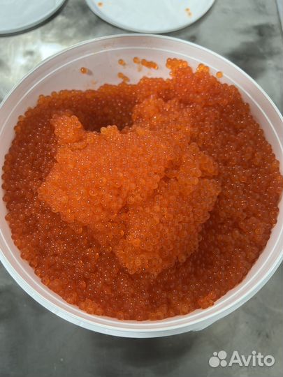 Красная икра 2023