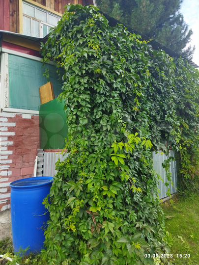 Дача 20 м² на участке 5 сот.