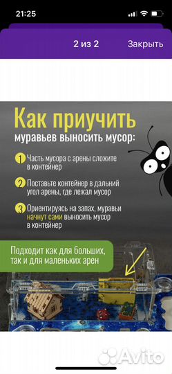 Мусорный контейнер для муравьиной фермы