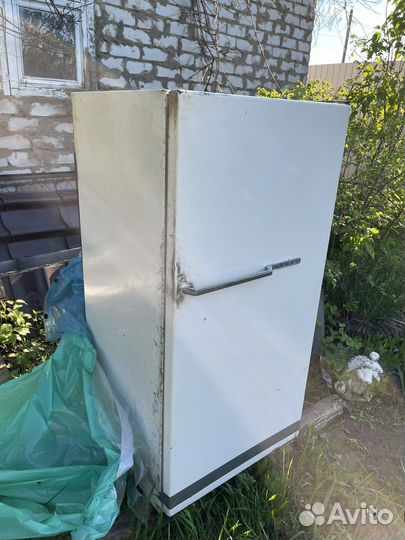 Холодильник наст