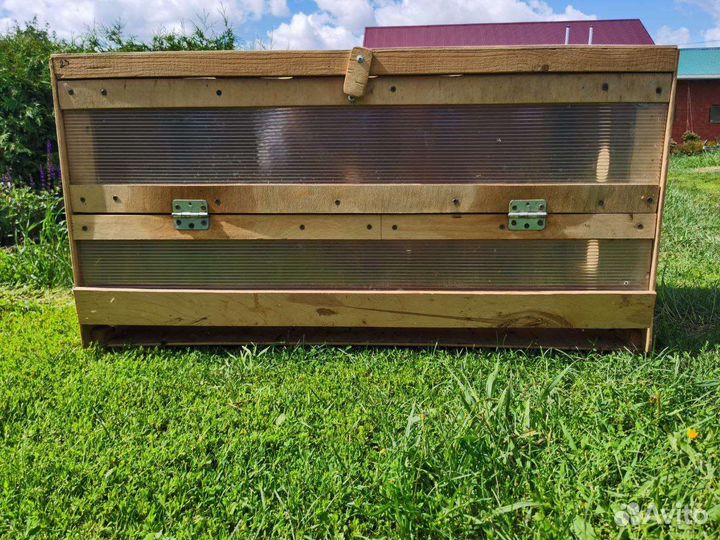 Брудер для цыплят