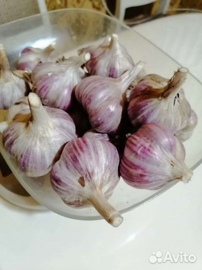 Чеснок