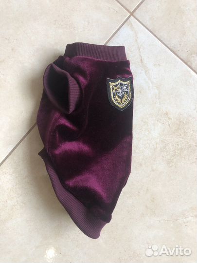 Одежда для собак