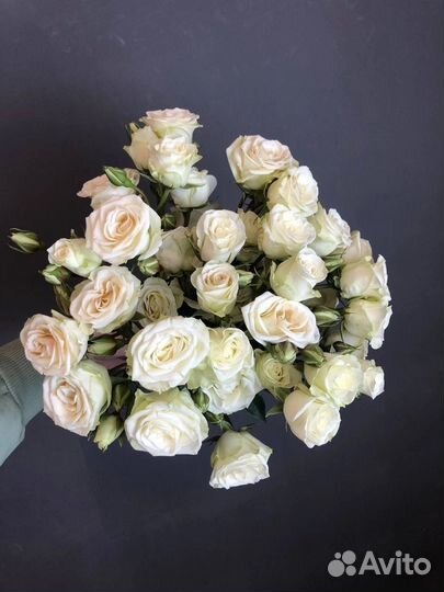 Кустовые розы