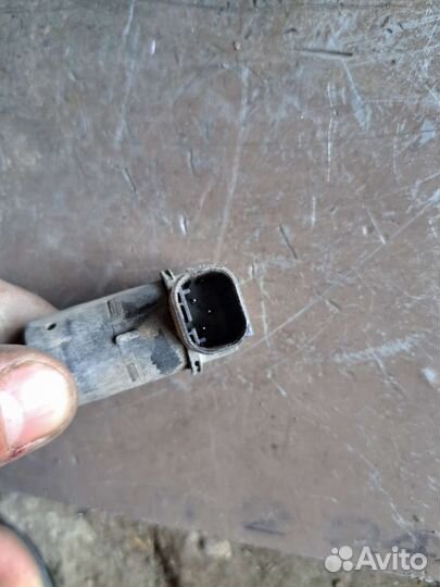 Парктроник на Jaguar s-type