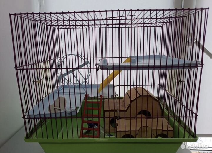 Отдам джунгарика с кормом