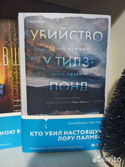 Книги детективы Пропавшая и Убийство у Тилз-понд