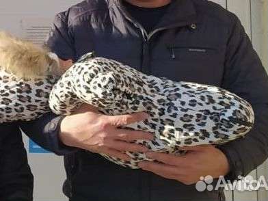 Конверт и комбинезон