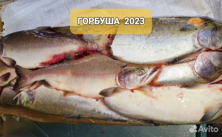 Горбуша икряная 50/50, Кета, Кижуч, с/м