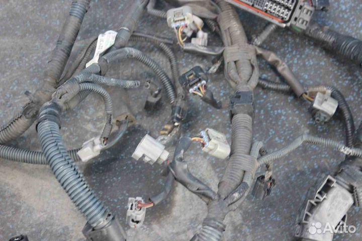Проводка двигателя Toyota Corolla (Тойота Королла)