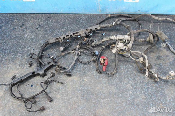 Проводка двс Honda Accord Wagon (Хонда Аккорд Ваго