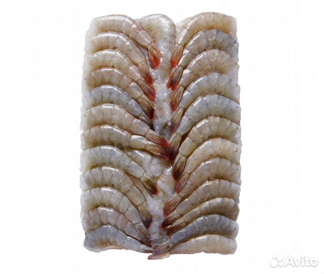 Тигровые креветки блок 16/20