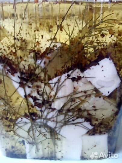 Молоко козье