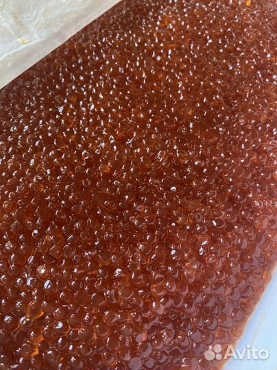 Продам икру