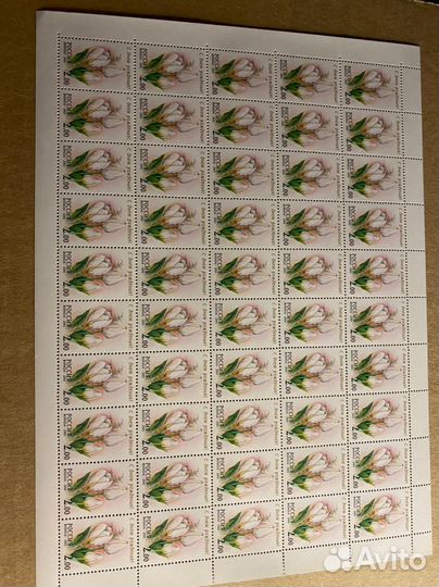 Россия 2001, Флора. 657-661, серия из 5 листов