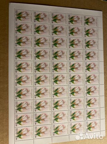 Россия 2001, Флора. 657-661, серия из 5 листов