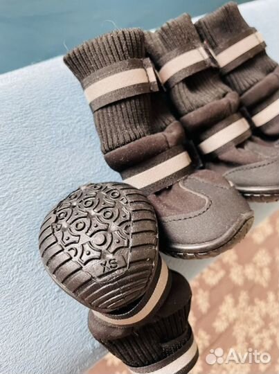 Ботинки для собак. Обувь для собак