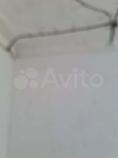 Комната 19 м² в 2-к., 2/2 эт.