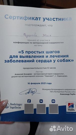 Ветеринарный врач онлайн (Без выезда)