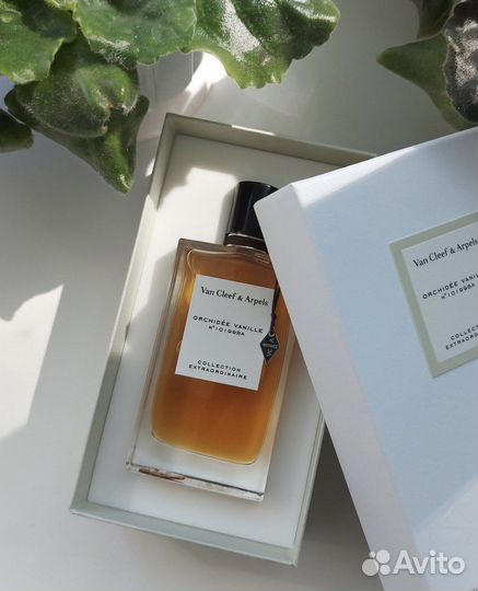 Van cleef arpels orchidee vanille парфюм духи