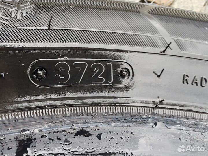Triangle Snowlink TWT02 215/55 R17 98