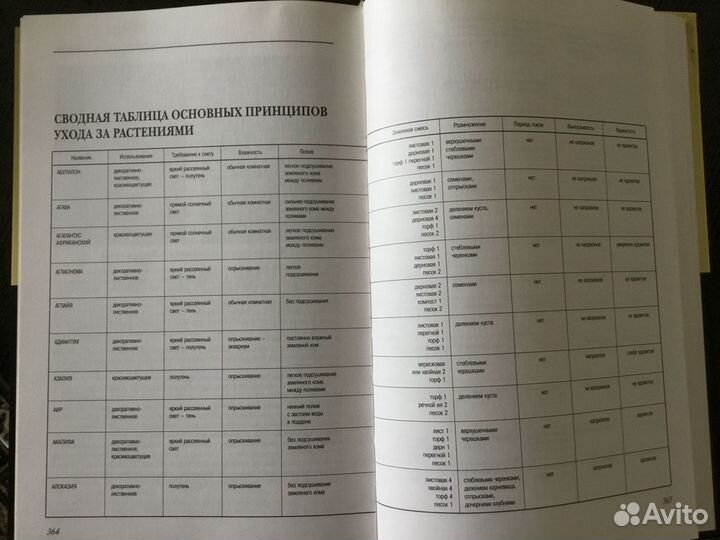 Энциклопедия комнатных растений