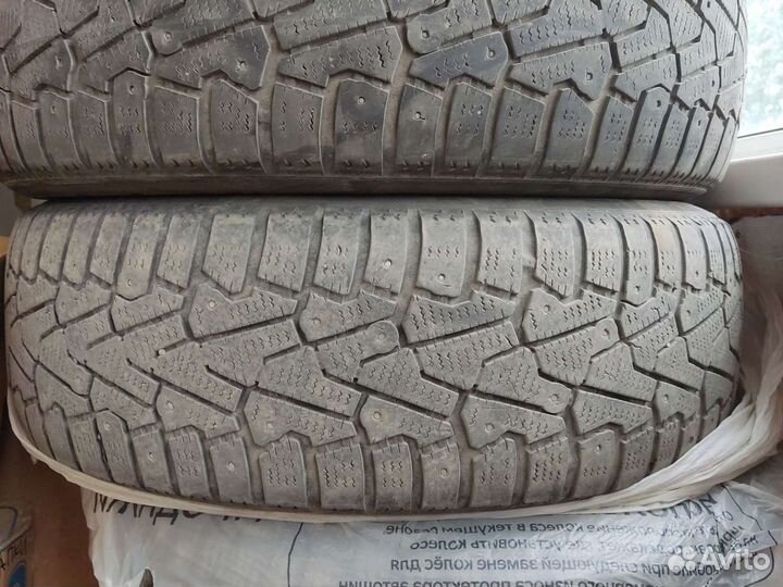 Pirelli P Zero Winter 185/65 R15 92T